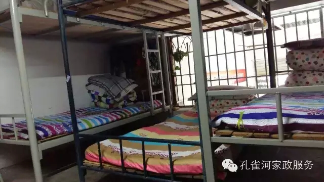 ��ȸ�Ӽ�����ķ������ů��ů��������