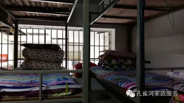 ��ȸ�Ӽ�����ķ������ů��ů��������