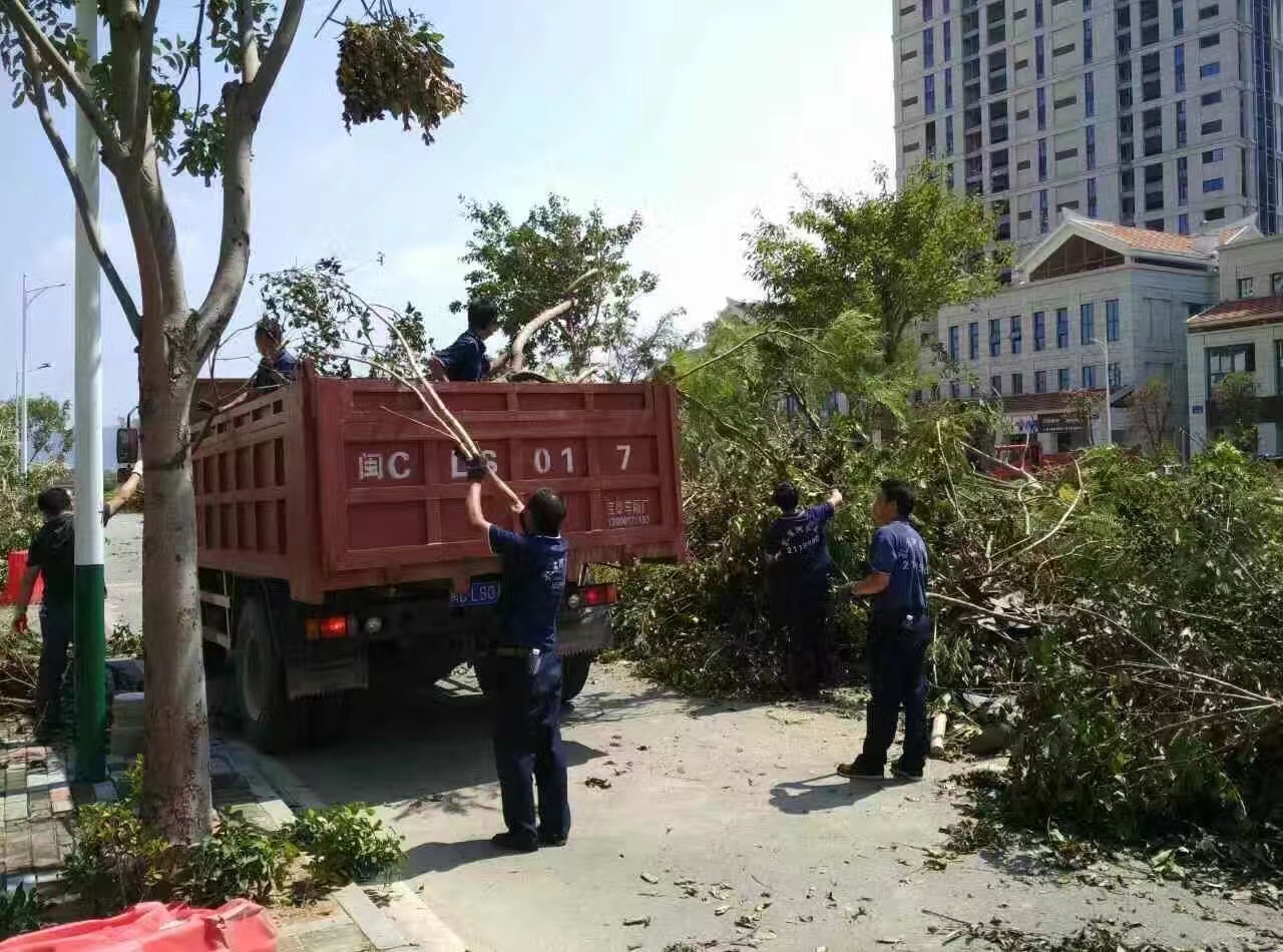 �B�T������˾�����ĺ��ؽ��x�����