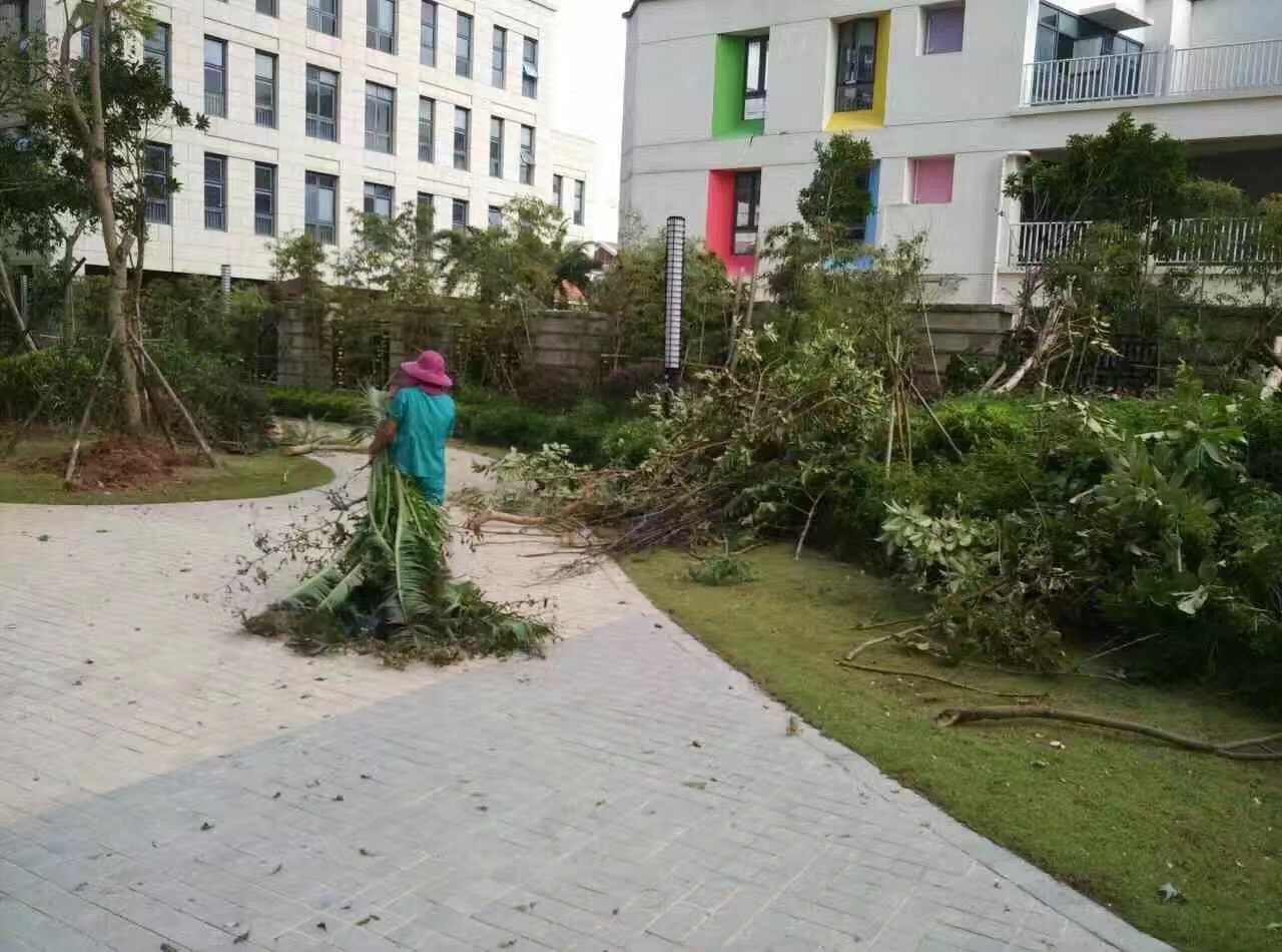 �B�T������˾�����ĺ��ؽ��x�����