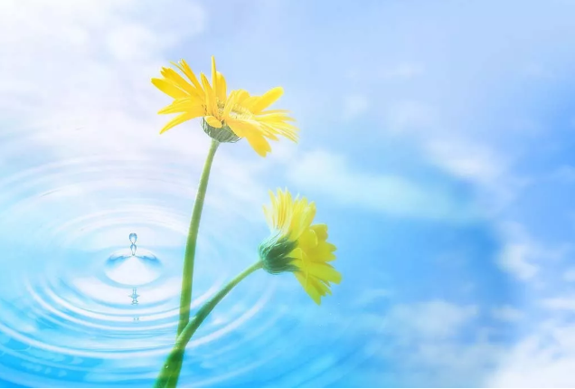 2018��(j��ng)�����¸��f(shu��)�f(shu��),�m������(g��)�Ժ���!